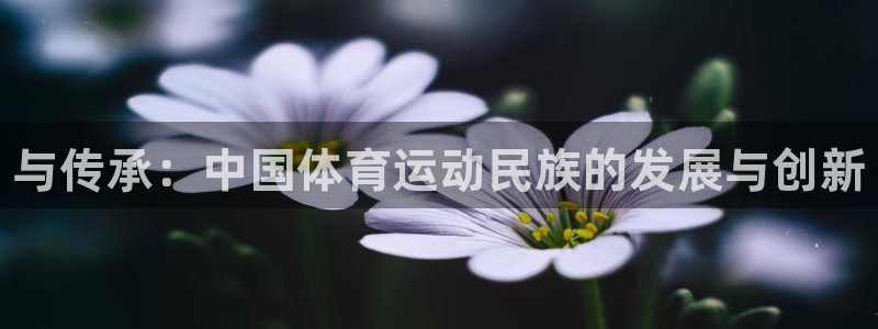 vsport体育官方正版app集团官网首页：与传承：