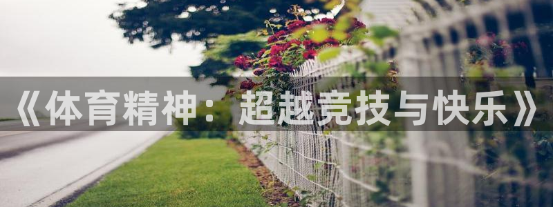 vsport体育官网下载招商电话：《体育精神：超越竞