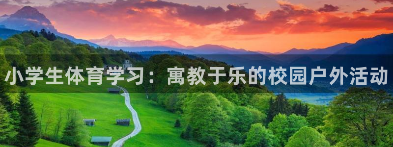海南vsport体育官网下载发展怎么样：小学生体育学