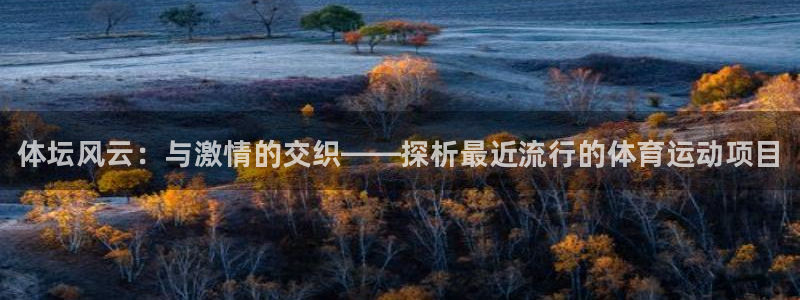 vsport体育官网下载官方客服电话：体坛风云：与激