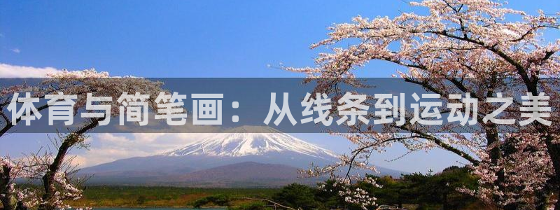 vsport体育官网下载招商电话号码是多少：体育与简笔画：从