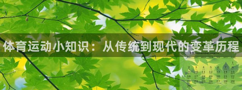 vsport体育官方正版app集团：体育运动小知识：从传统到