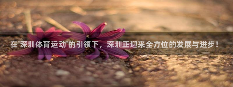 vsport体育官方正版app娱乐首页网站大全：在\'深圳体