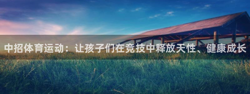 vsport体育官方正版app娱乐：中招体育运动：让
