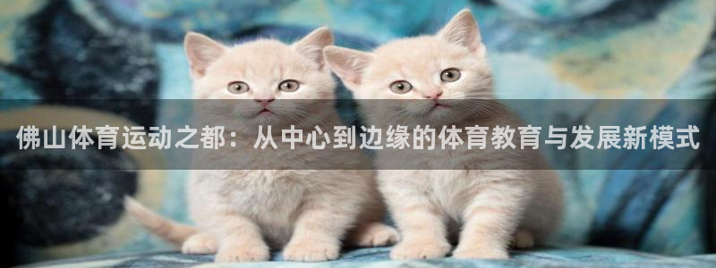 vsport体育官网下载招商电话地址查询：佛山体育运动之都：