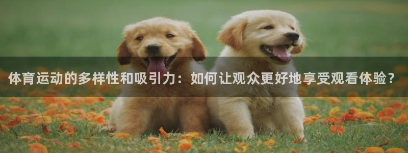 注册vsport体育官方正版app：体育运动的多样性