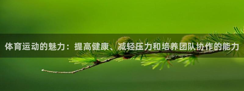 vsport体育官方正版app开户：体育运动的魅力：提高健康