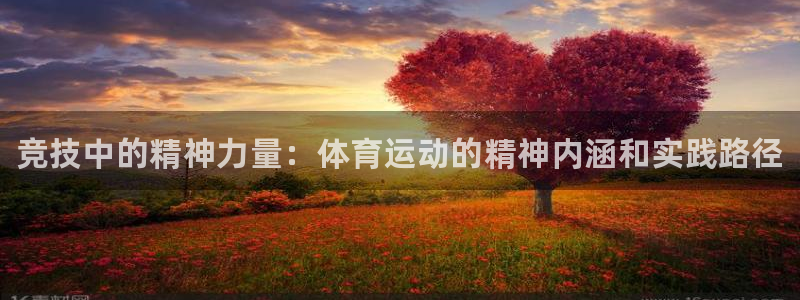 vsport体育官方正版app官方：竞技中的精神力量：体育运