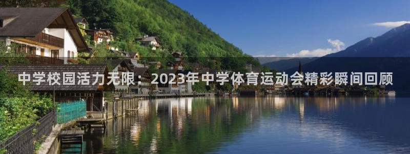 vsport体育官网下载娱乐