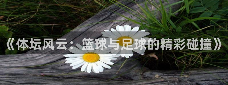 vsport体育官网下载平台APP：《体坛风云：篮球与足球的