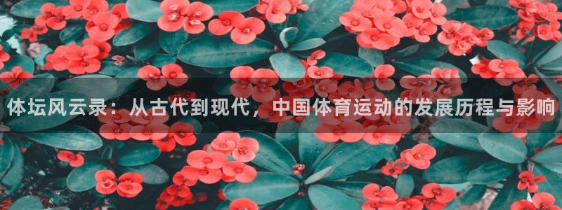 vsport体育官方正版app集团：体坛风云录：从古代到现代