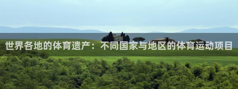 vsport体育官网下载平台是正规平台吗安全吗