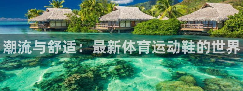 德国vsport体育官方正版app集团：潮流与舒适：最新体育