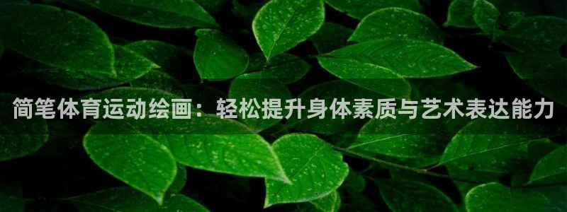 vsport体育官方正版app神州：简笔体育运动绘画：轻松提