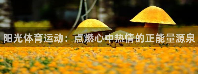 vsport体育官方正版app娱乐代理怎么样：阳光体