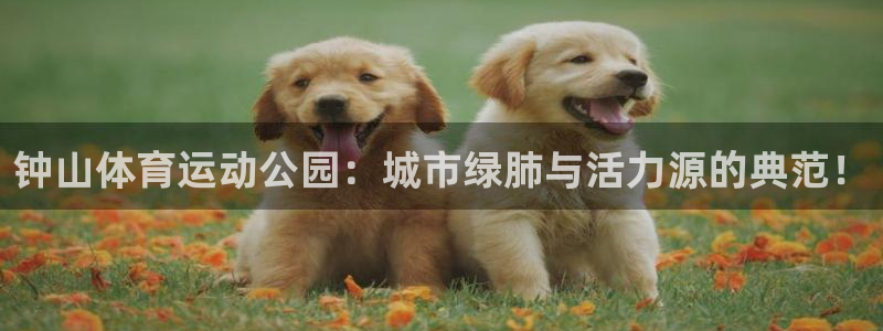 vsport体育官方正版app集团E.ON：钟山体育运动公园