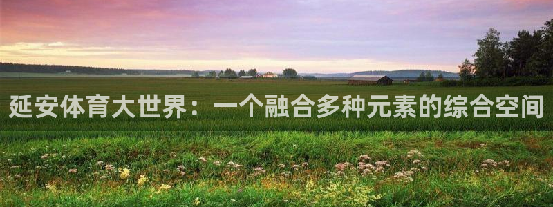 vsport体育官网下载平台是正规平台吗知乎