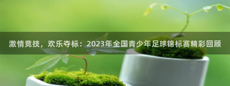 德国vsport体育官方正版app集团：激情竞技，欢