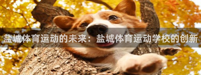 vsport体育官方正版app集团E.ON：盐城体育运动的未