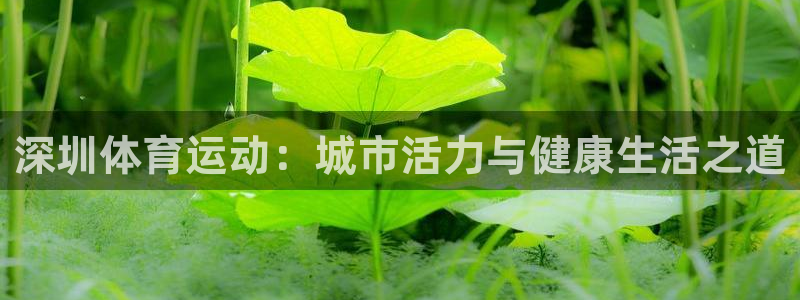 vsport体育官网下载招商电话号码是多少啊