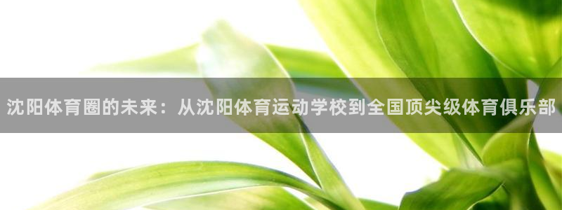 Vsport体育官方网站入口
