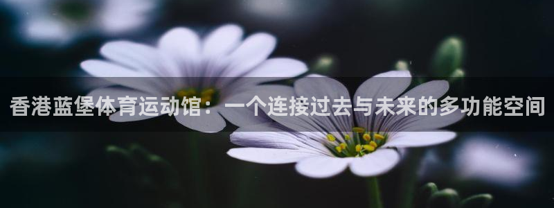 Vsport体育官方网站入口