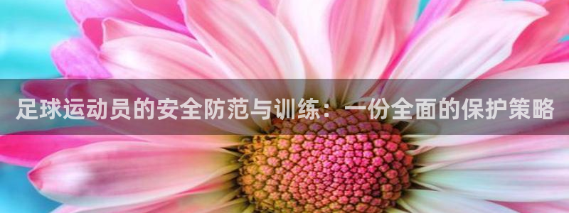 vsport体育平台app