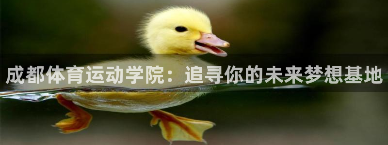vsport体育阿根廷