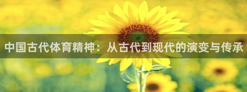 vsport体育在线官网阿根廷