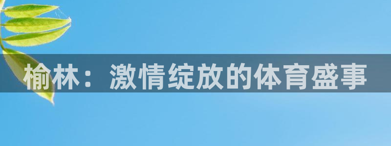 vSport体育在线登录平台