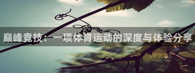 vSport体育app最新版本更新内容