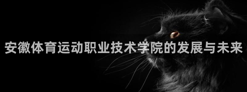  vsport体育官网：安徽体育运动职业技术学院的发展与未来
