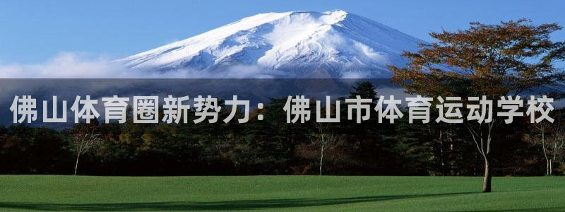 vsport体育在线官网：佛山体育圈新势力：佛山市体育运动学