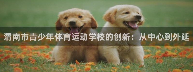 VSport体育官网入口：渭南市青少年体育运动学校的创新：从