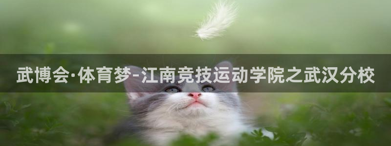 vsport体育官网：武博会·体育梦-江南竞技运动学院之武汉