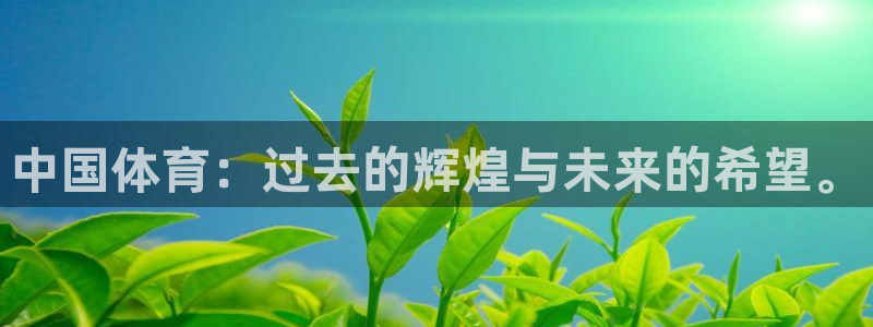 VSport体育官网入口：中国体育：过去的辉煌与未来的希望。