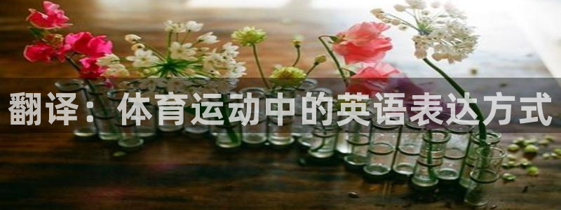  Vsport体育官方网站入口：翻译：体育运动中的英语表达方式